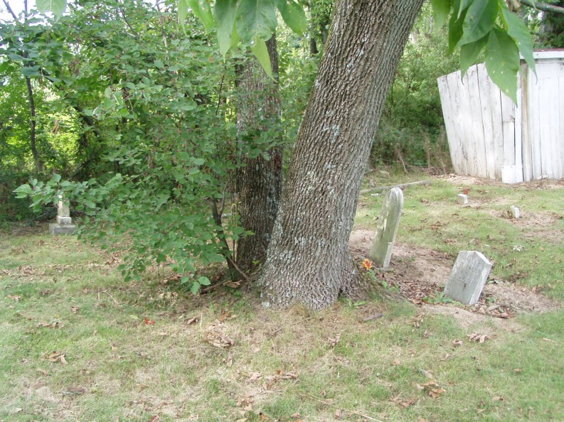 P1010089.JPG